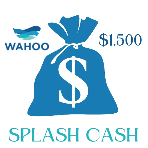 yellow flower field near snow covered mountain during daytime