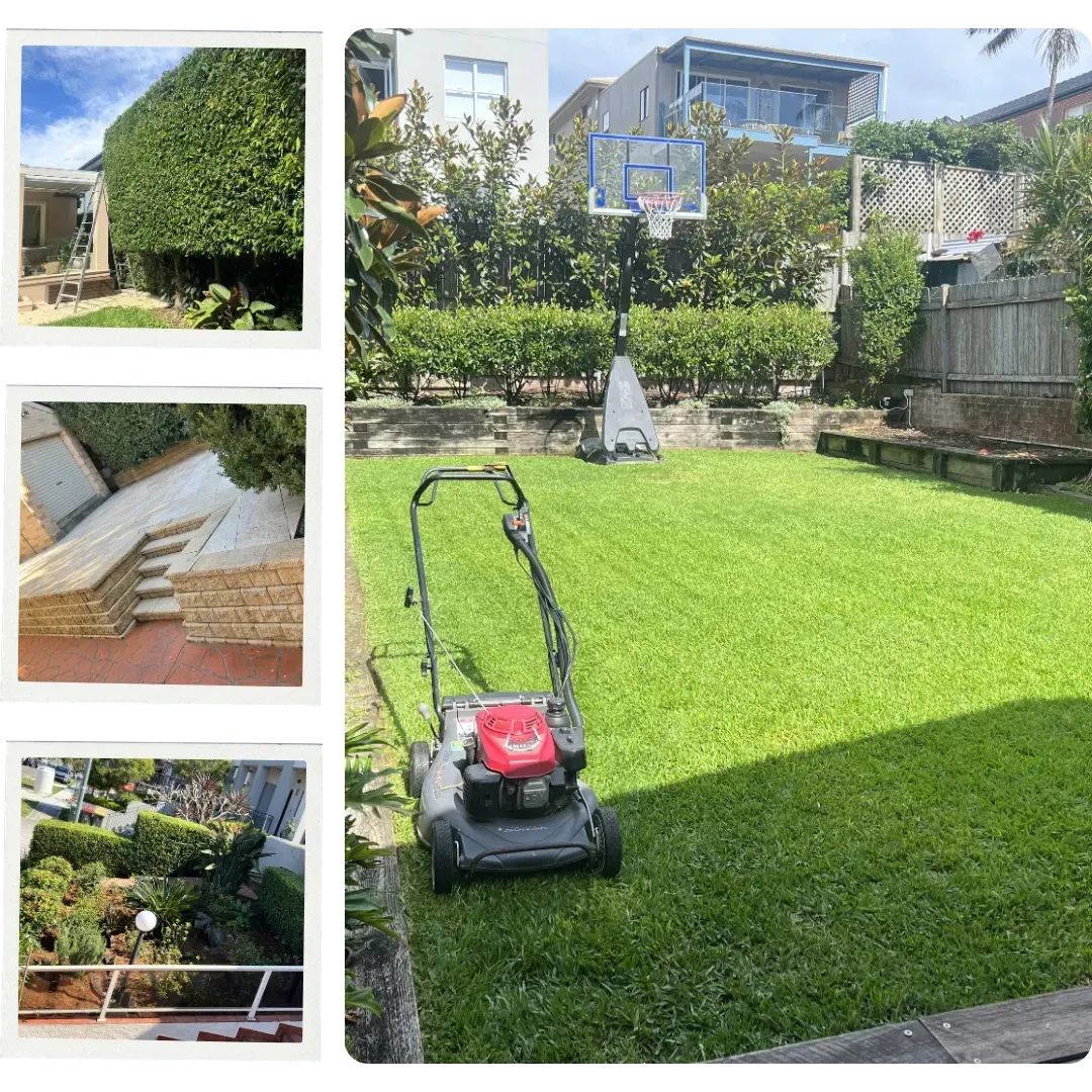Lawn Mowing Eastlakes NSW – Edging and Whipper Snipping