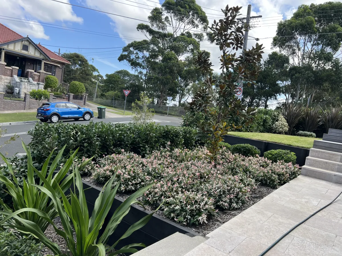 Garden Maintenance Sydney NSW – Pruning and Garden Care