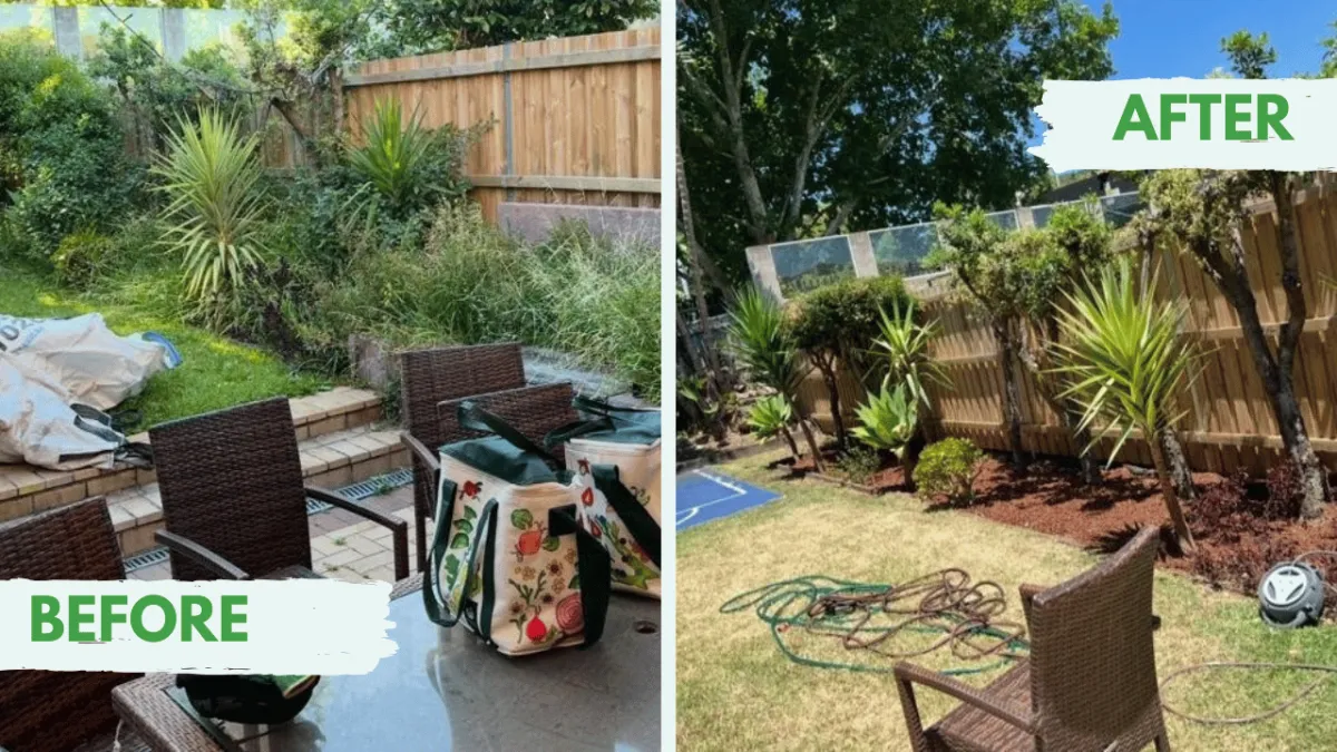 Weeding Services Sydney – Commercial Property Maintenance