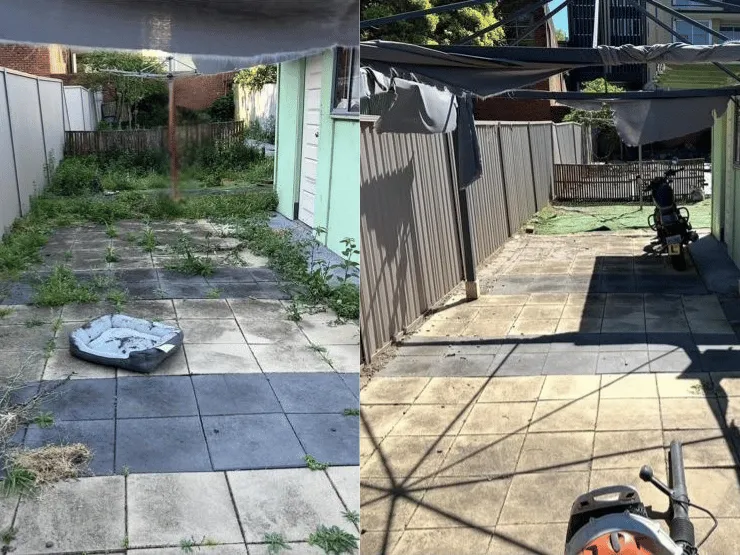 Weeding Services Sydney NSW – Garden Bed Maintenance