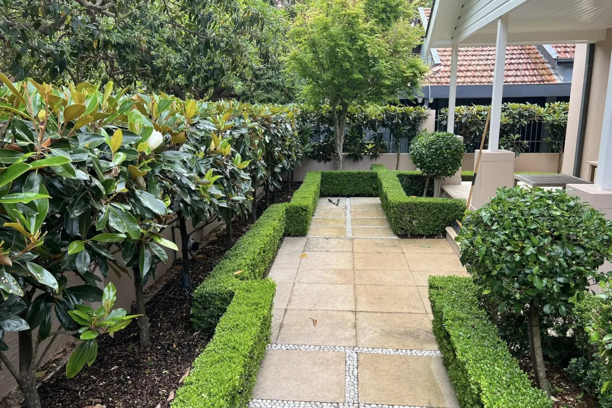 Comprehensive full garden clean-up featuring expert hedge trimming and thorough debris removal for a residential property in the Eastern Suburbs