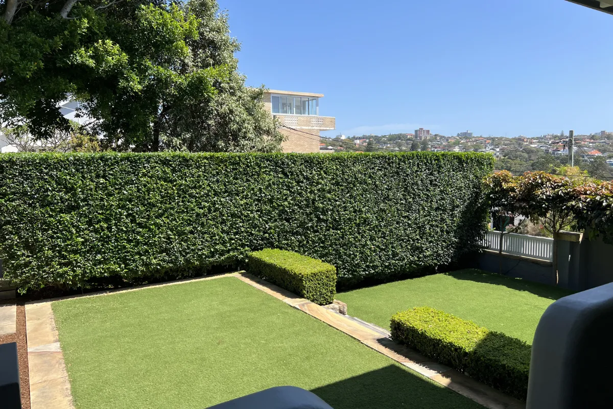 Formal hedge trimming showcasing precision shaping and clean, straight lines for a manicured garden in Vaucluse