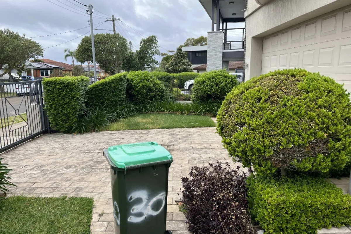 Expertly mown lawn and precision edging on a nature strip for a residential property in Dover Heights