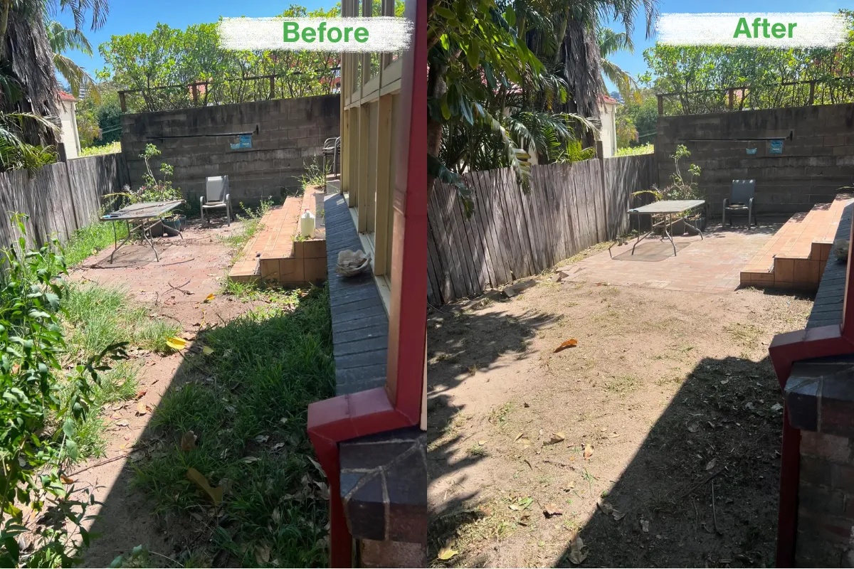 Before and after of a backyard courtyard tidy up and weed removal.