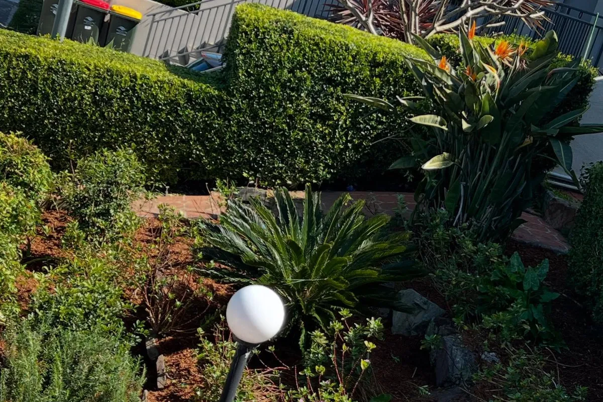 Freshly mowed lawn and neatly edged terrace garden beds with fresh mulch