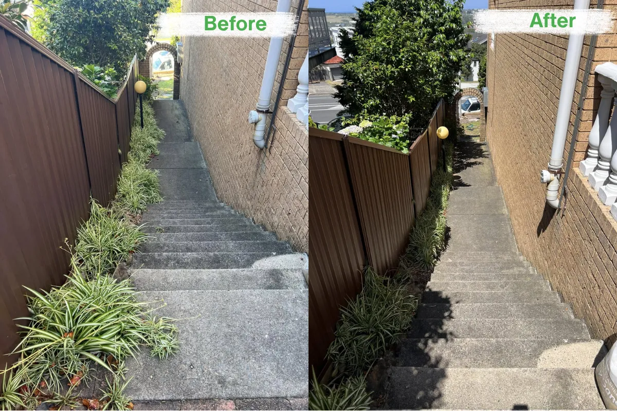 Before and after of a concrete staircase clean-up and garden edging for a side access pathway.