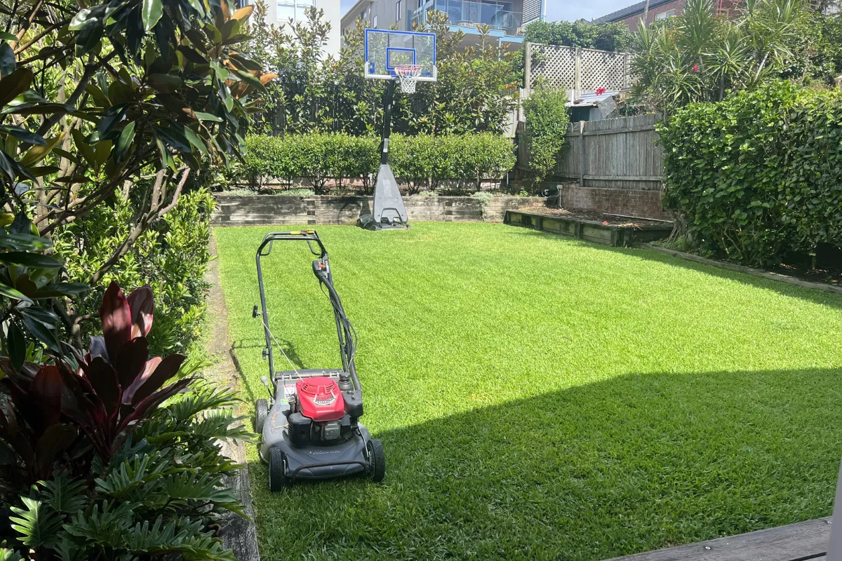 Lawn mower on striped green grass with basketball hoop background