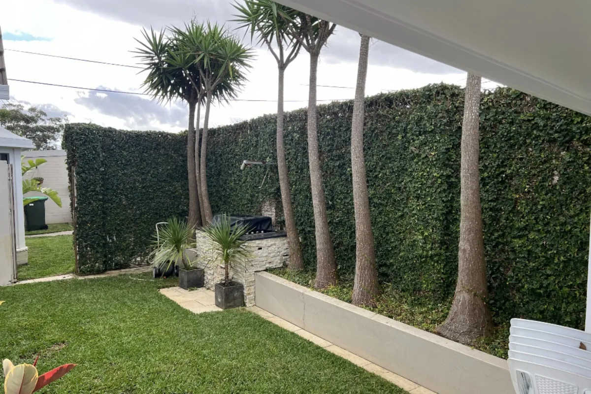 Completed hedge trimming service showing neat box hedges bordering a paved pathway