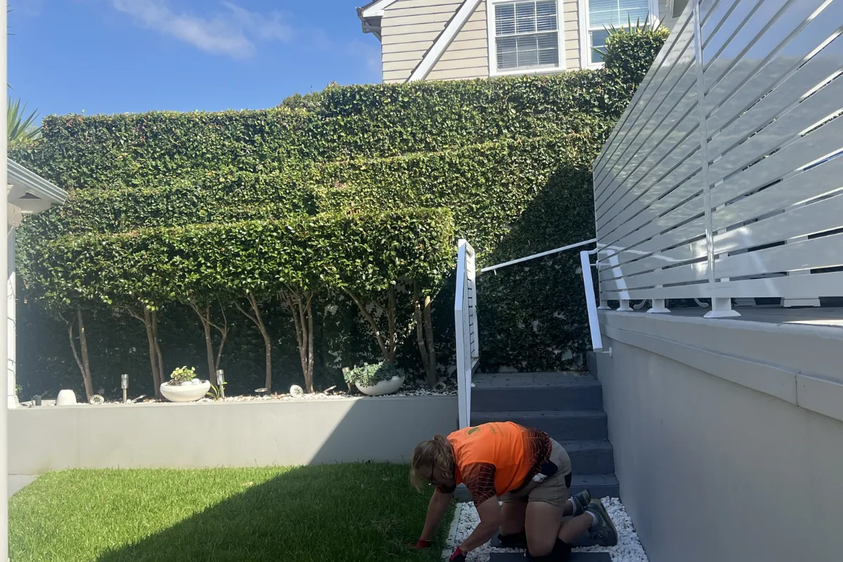 Gardener trimming a tall perimeter box hedge in a residential backyard