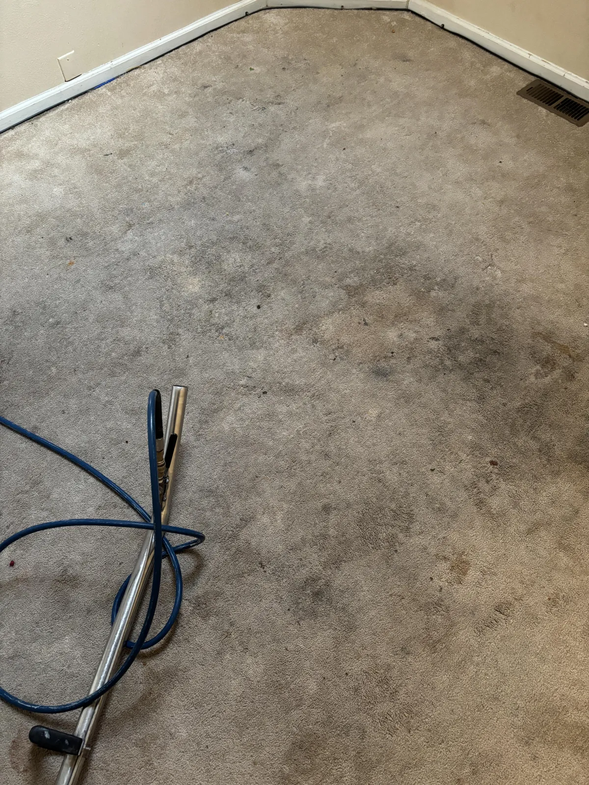 Stained apartment carpet before professional cleaning in Aurora, CO by Colorado Choice Carpet Cleaning
