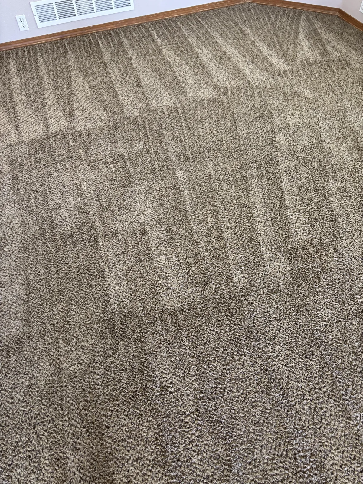 Freshly cleaned brown carpet with visible wand pattern from a Castle Rock hot water extraction job