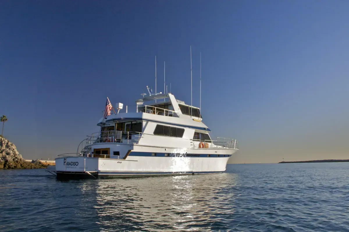 Paradiso Yacht Charters (Exterior)