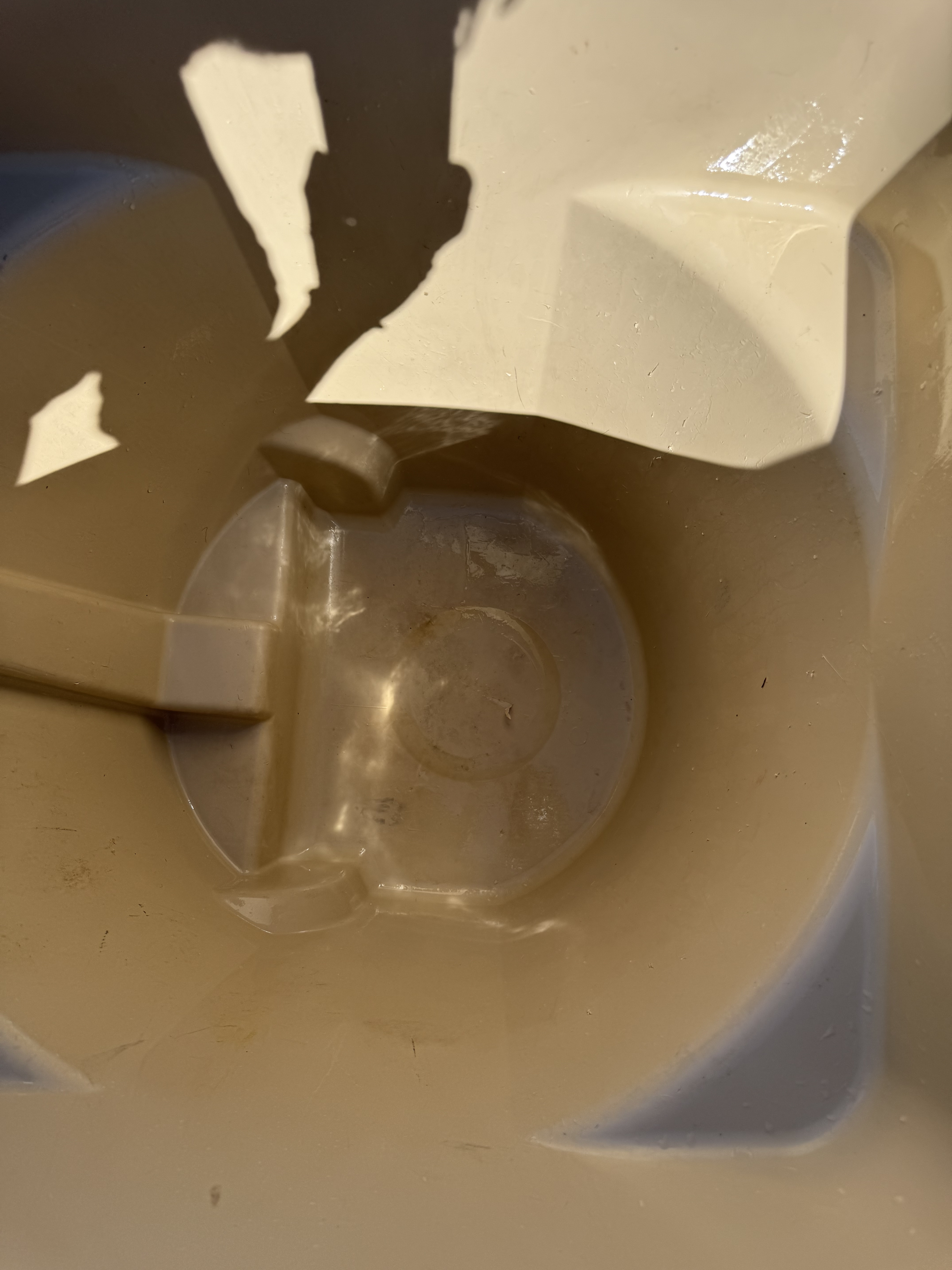 How Often Should You Clean Your Trash Bins in Arizona?