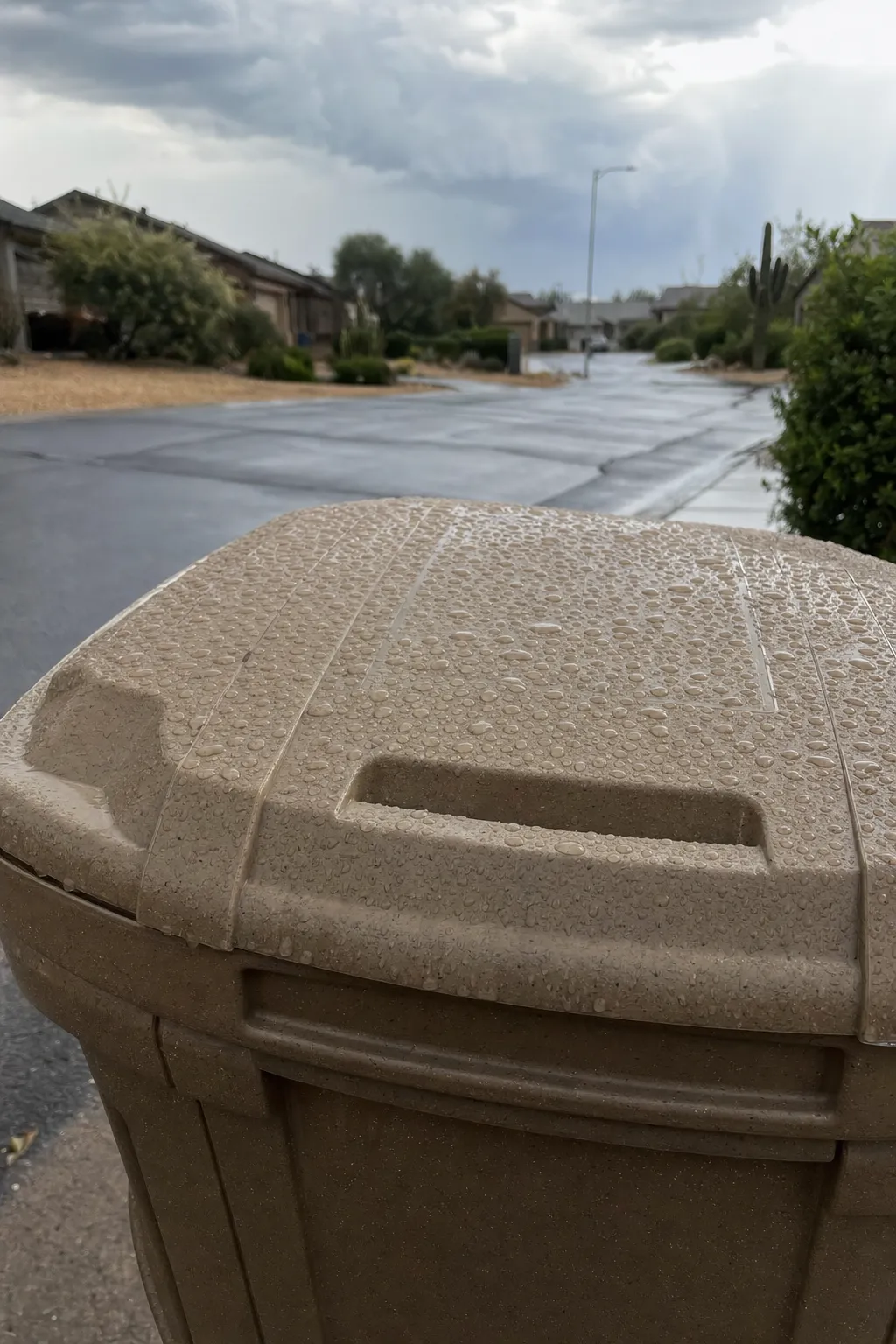 Monsoon + Heat Trash Bin Odor Tips | West Valley AZ