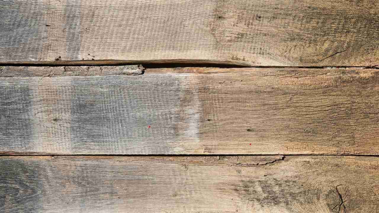 hardwood floor warping and cracking