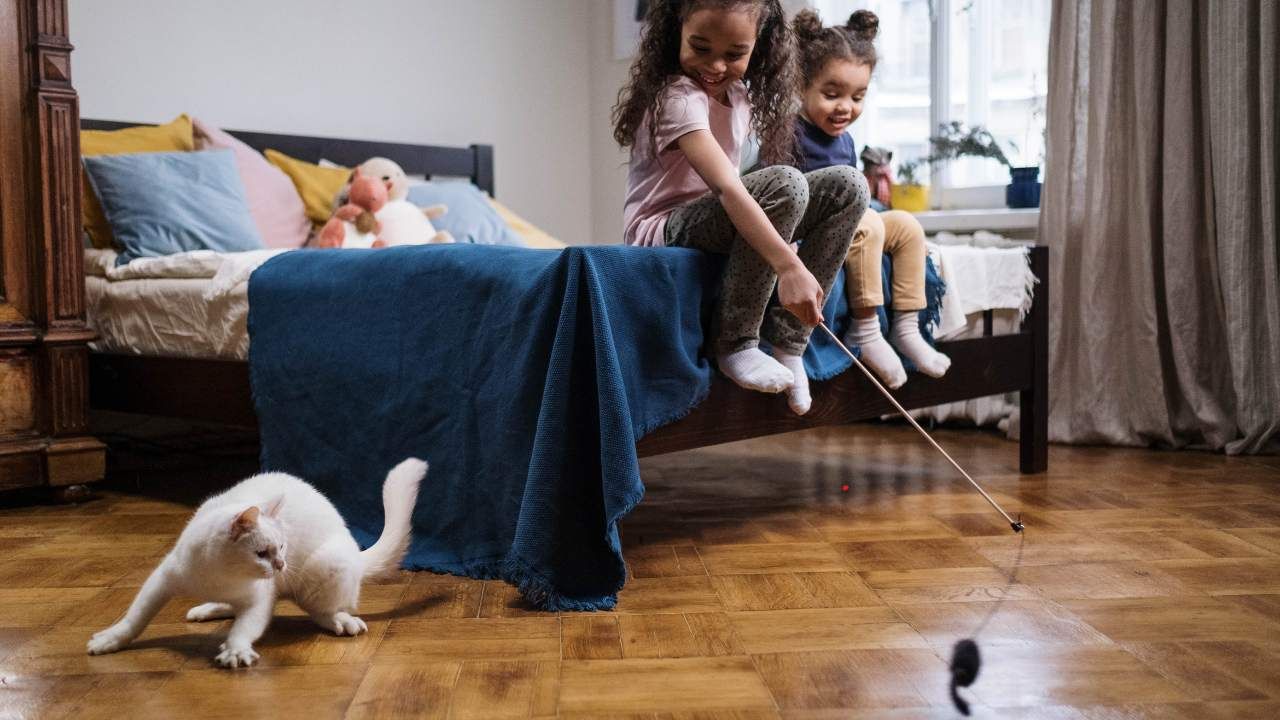 hardwood floor protection