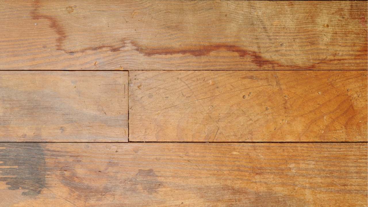 water-damaged hardwood floors