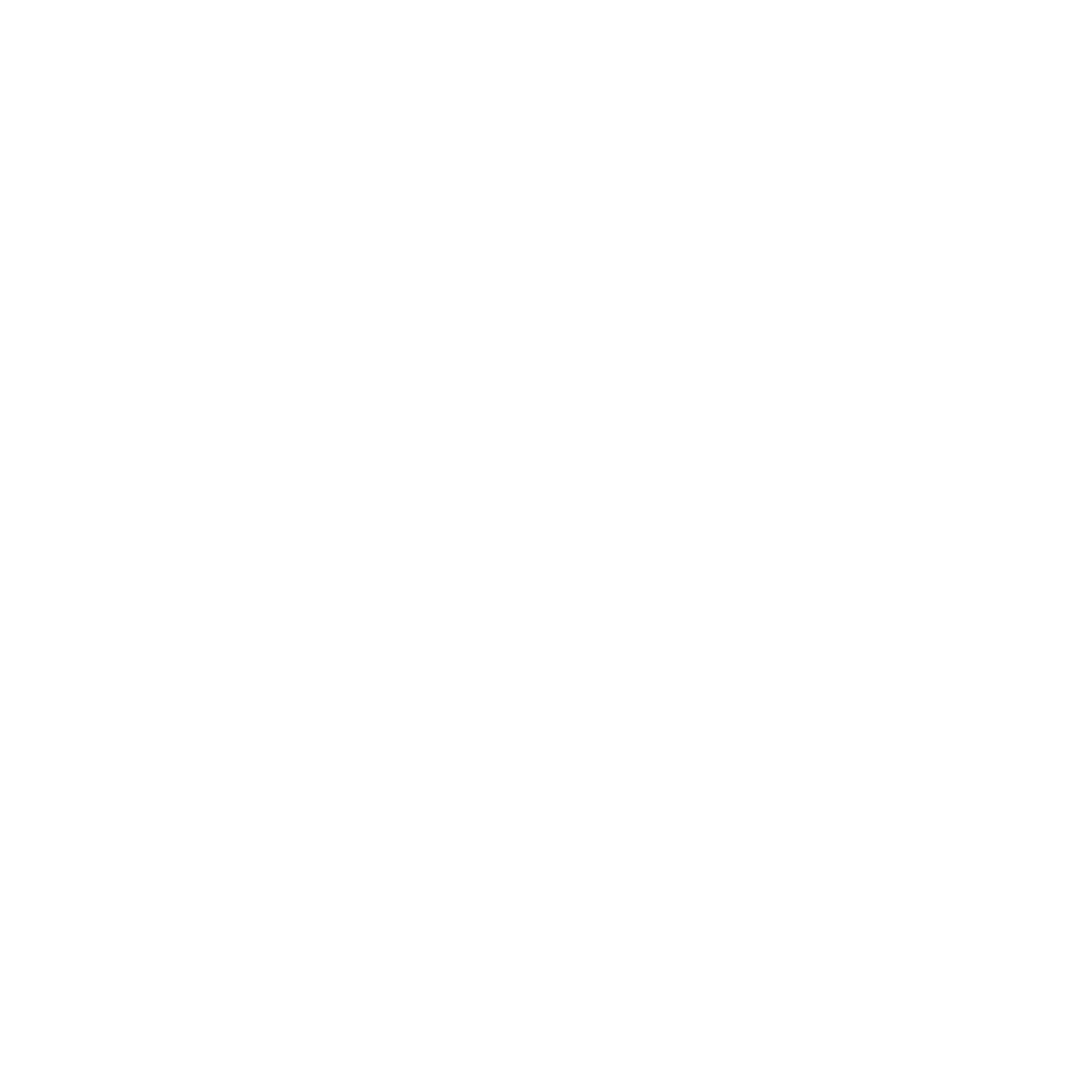 Support icon