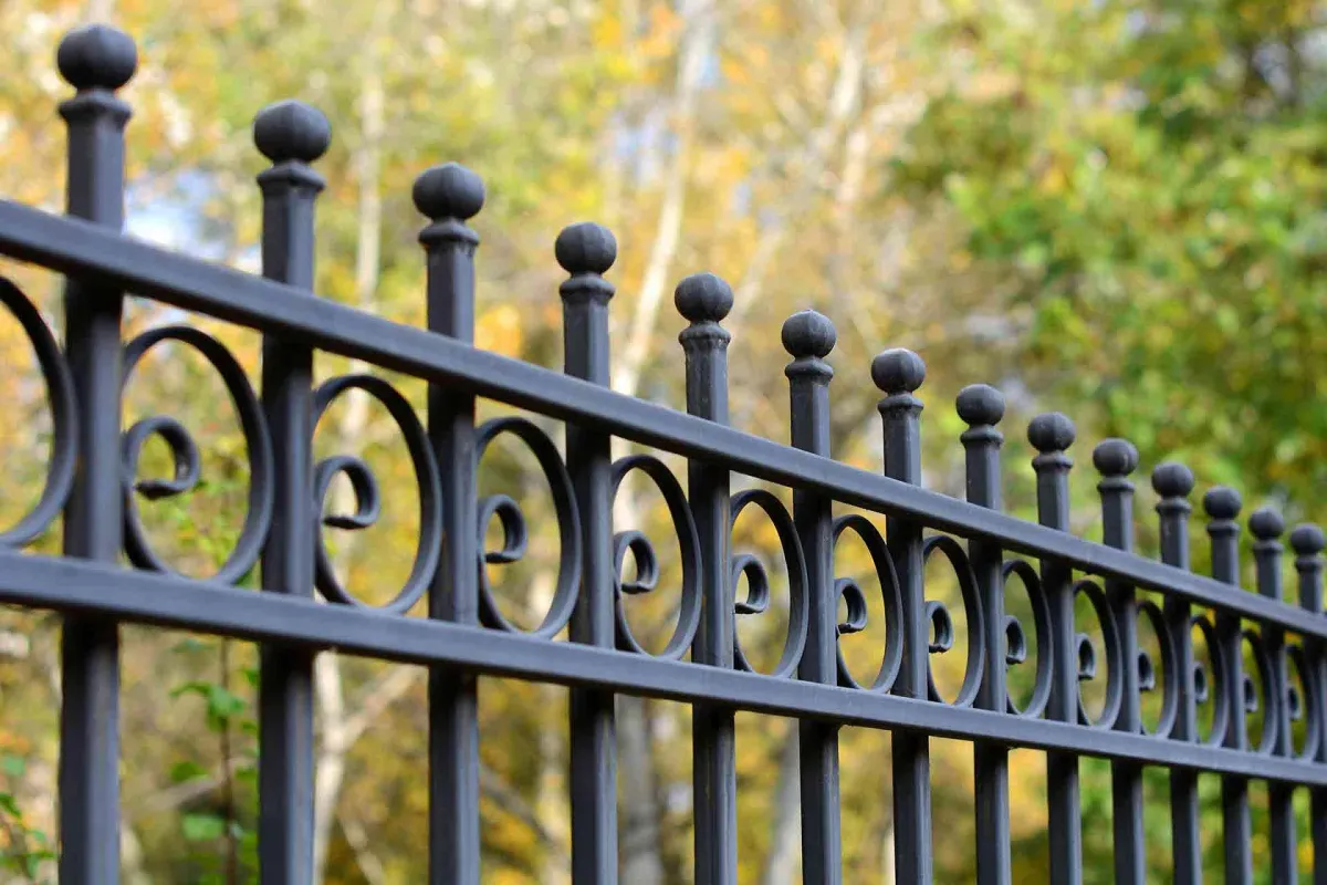 a wrought iron fence of a house