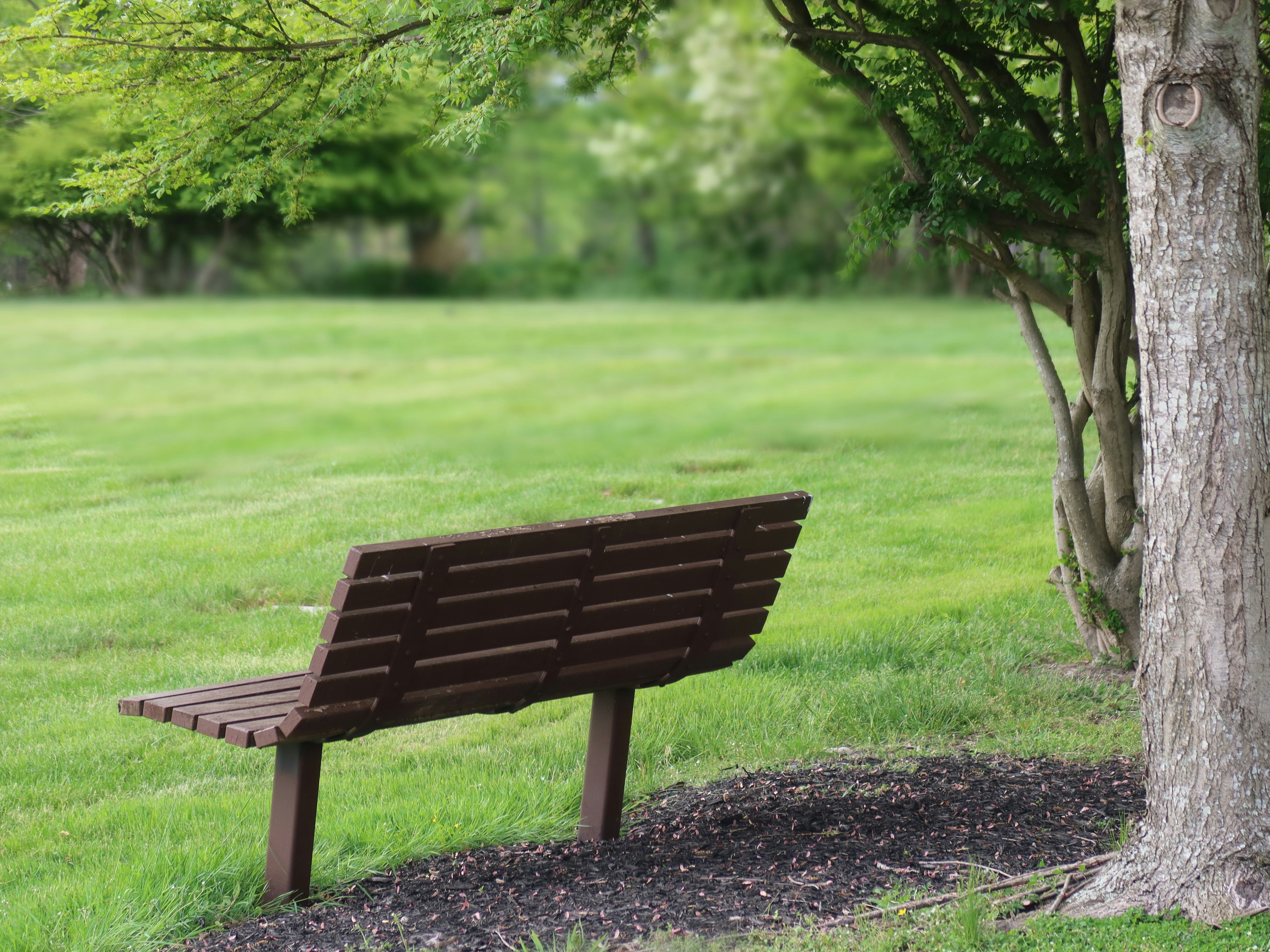 Caregiver Health: The 63% Statistic No One Talks About
