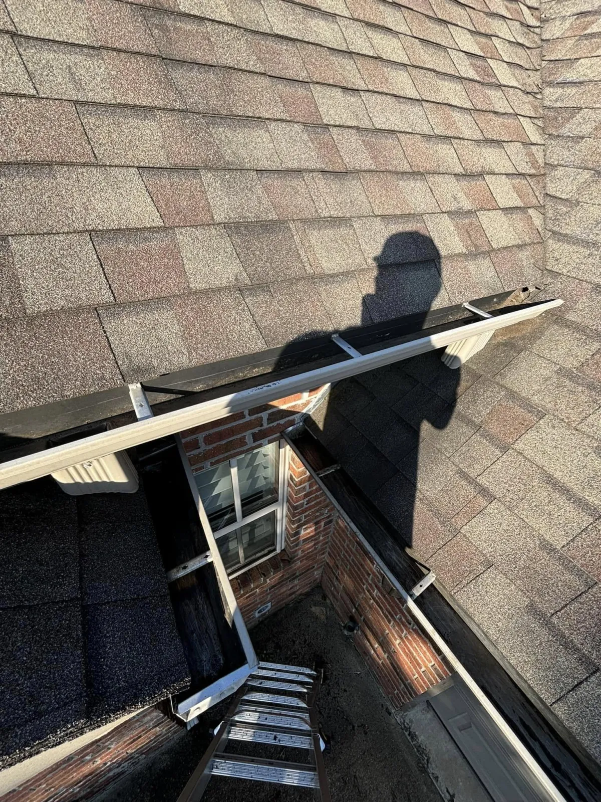 Gutter Cleaning