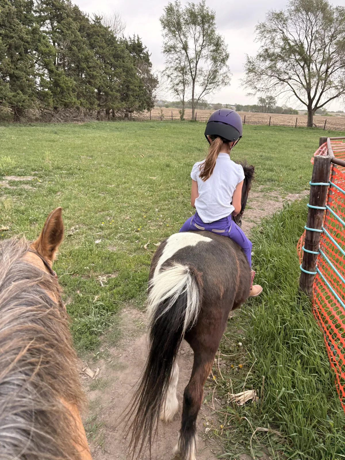 Founder adjusting a saddle with a young rider