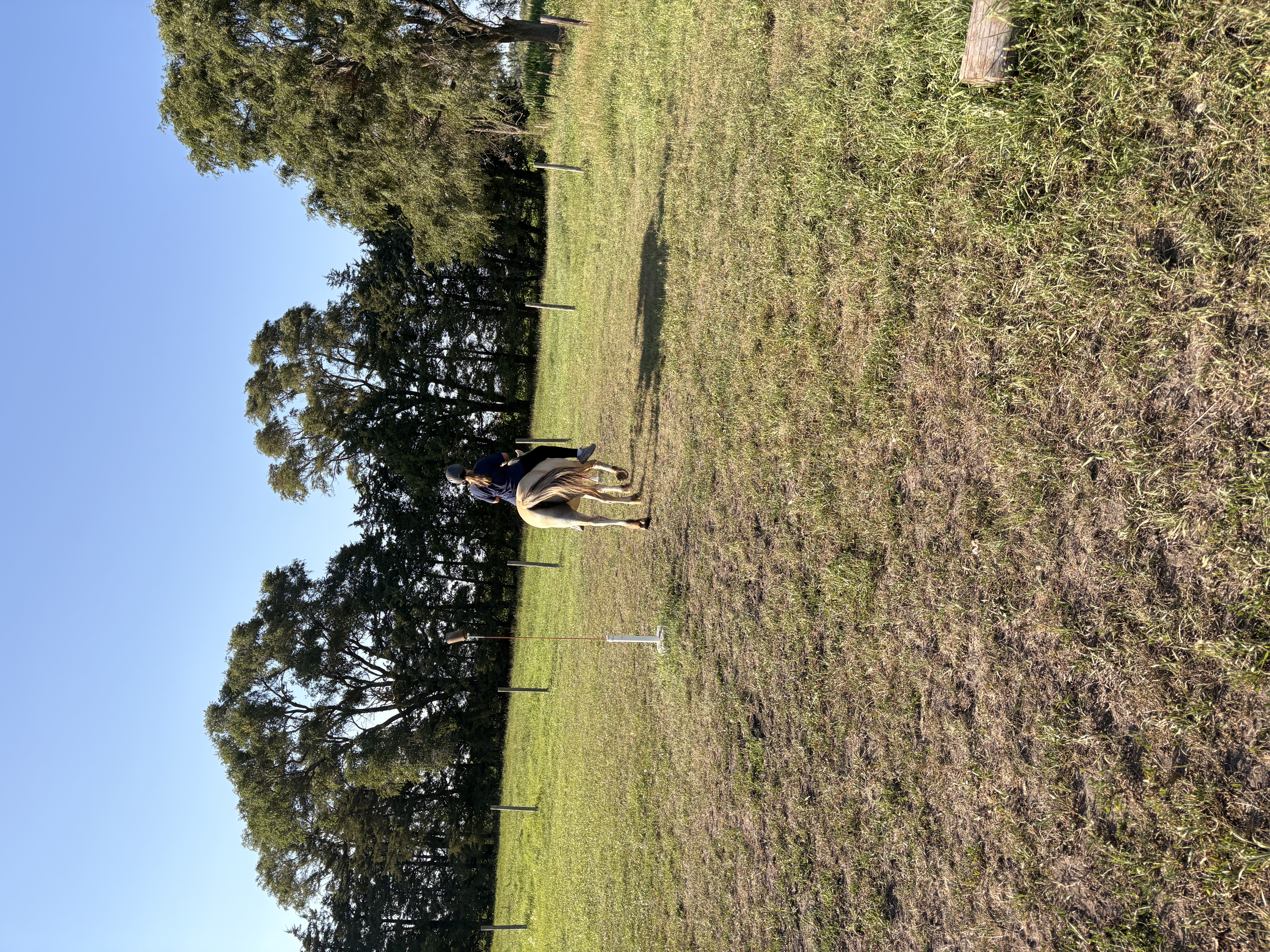 Horse riding lessons and foundational horsemanship