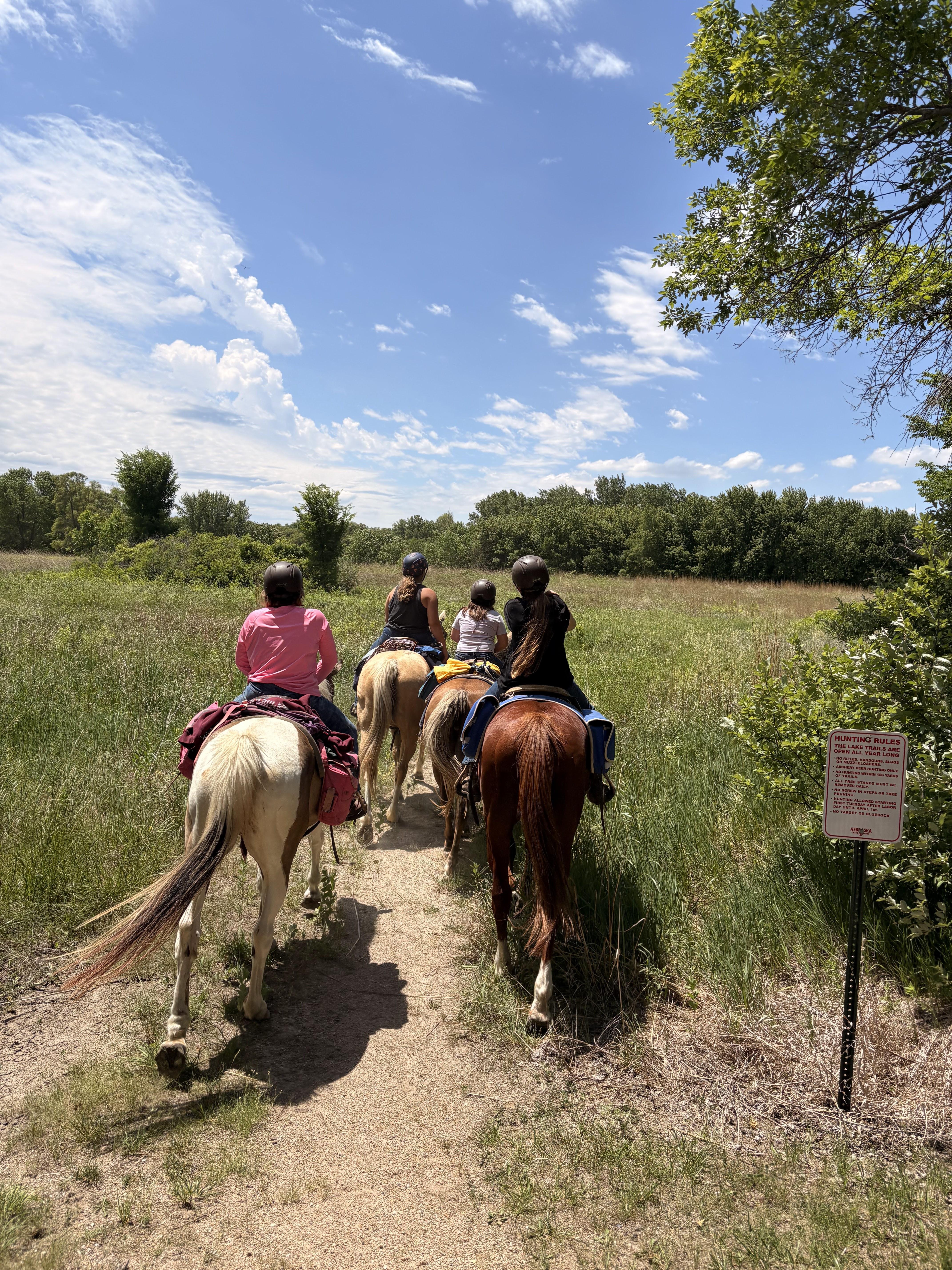 Hand-selected equine tack and supplies