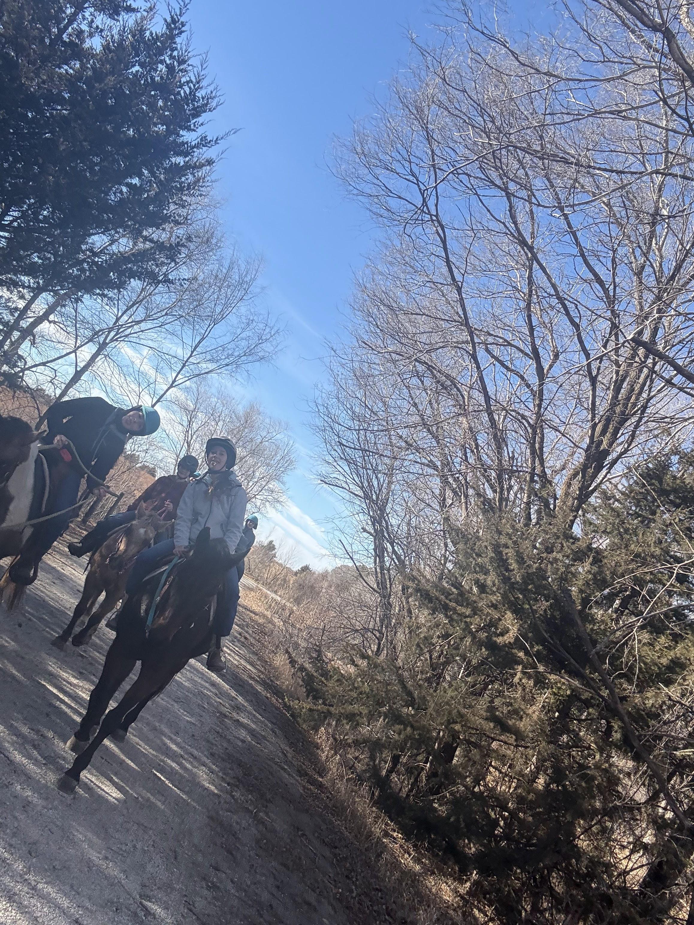 Photorealistic photo of beginner riders on horses along a lake, wearing non-western clothing and no hats