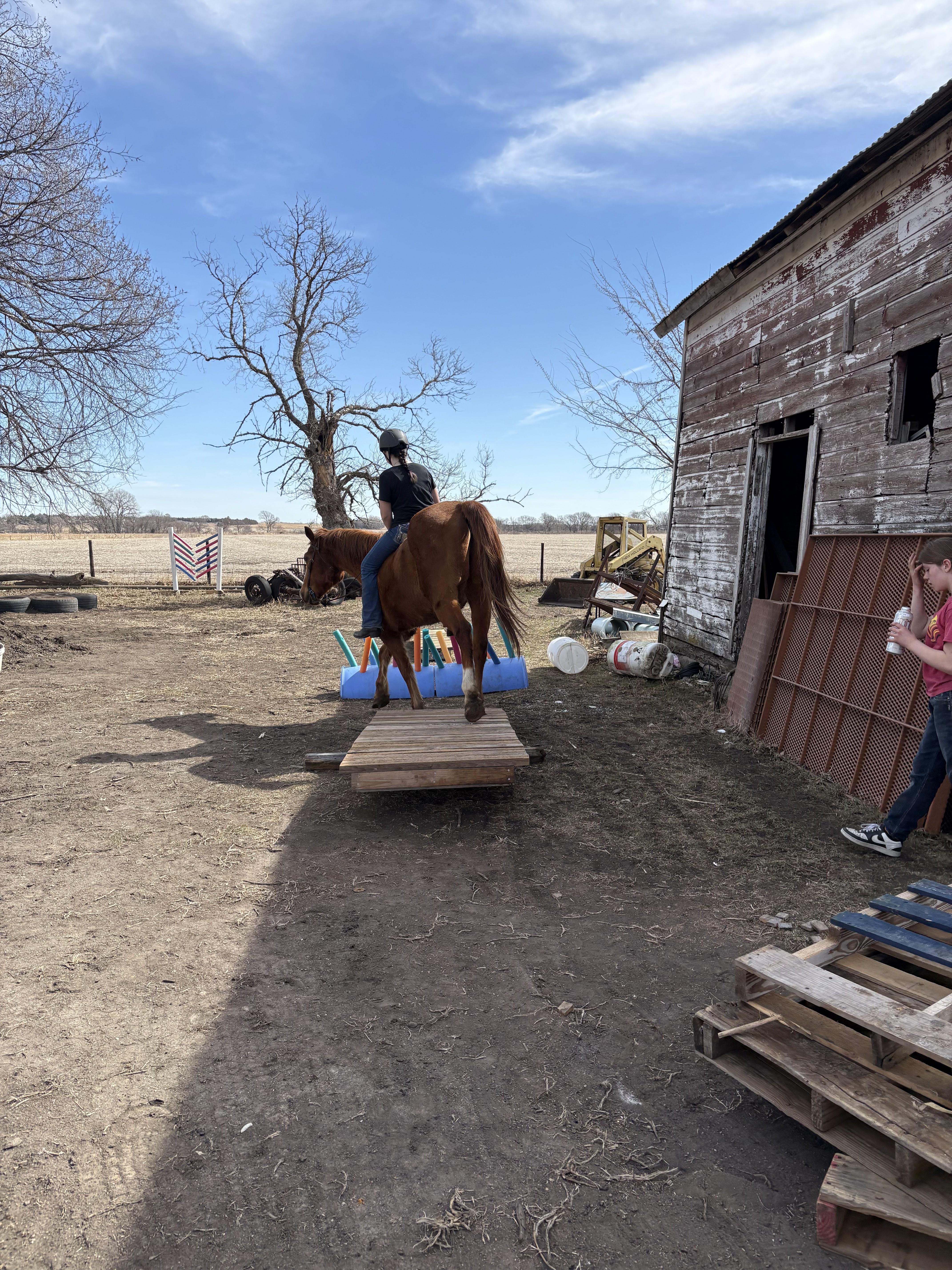 A child proudly sitting tall in the saddle