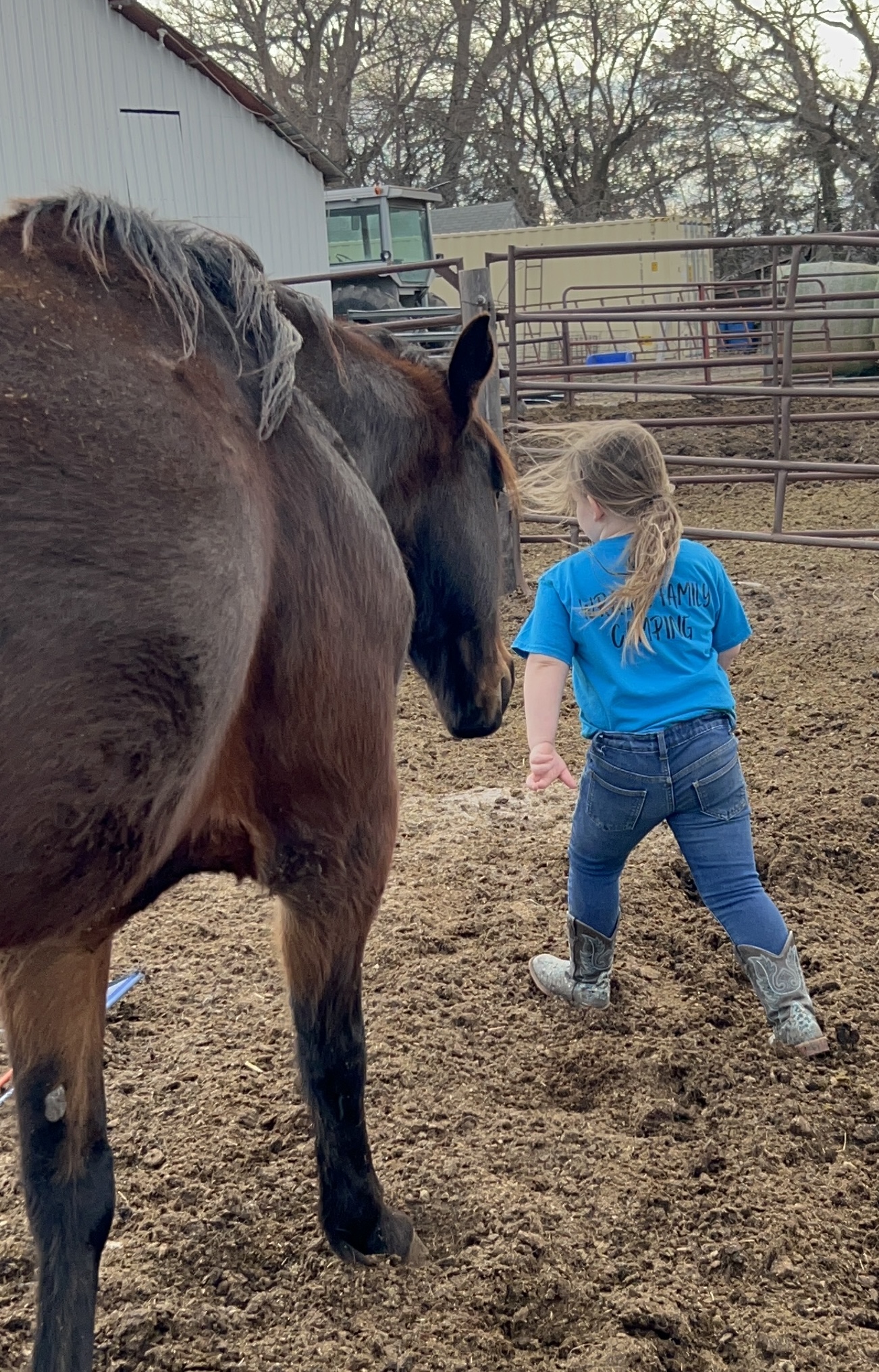 Photorealistic photo of a 6-year-old child riding a horse