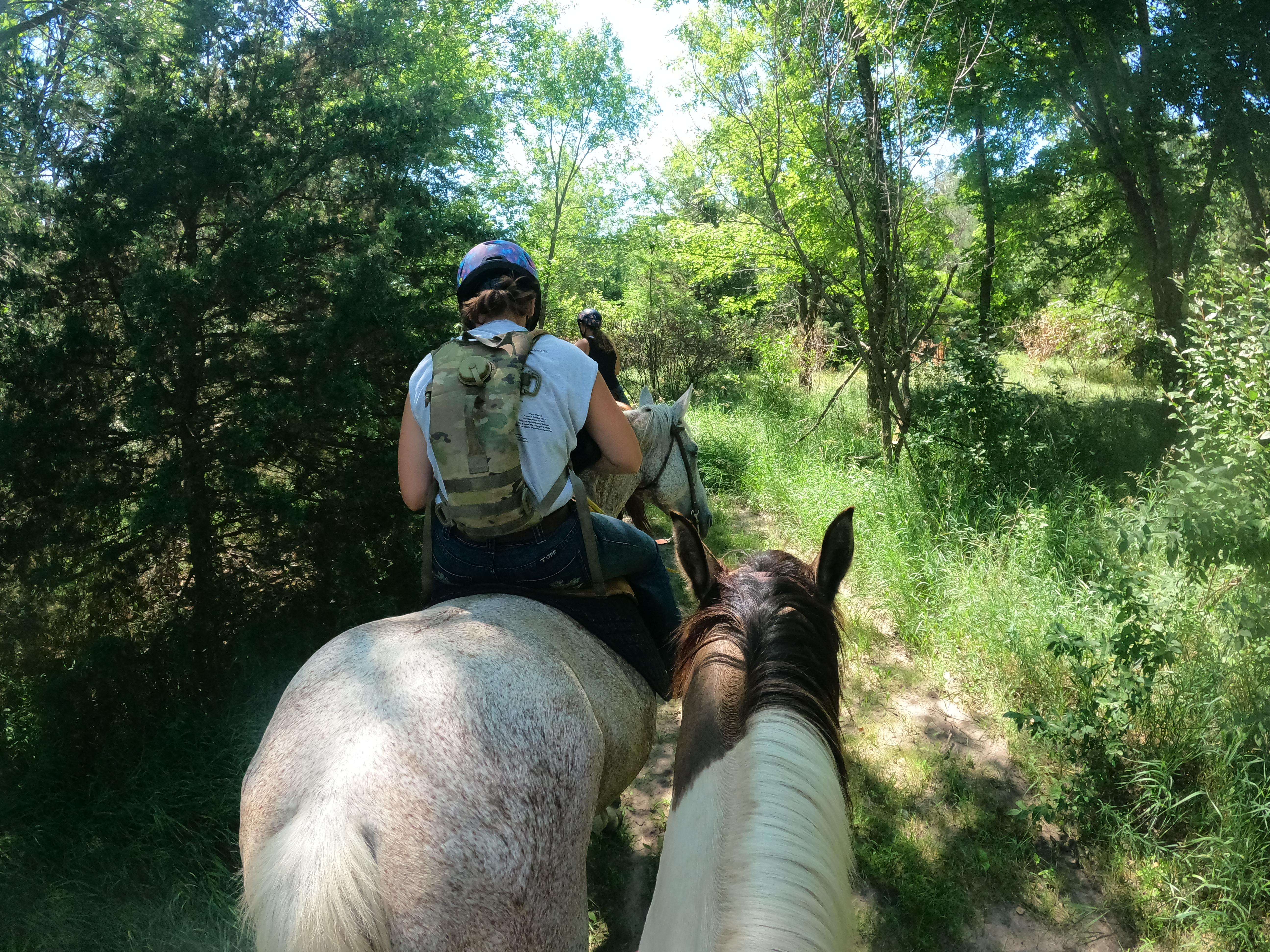 Trail ride