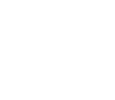 Logo Footer