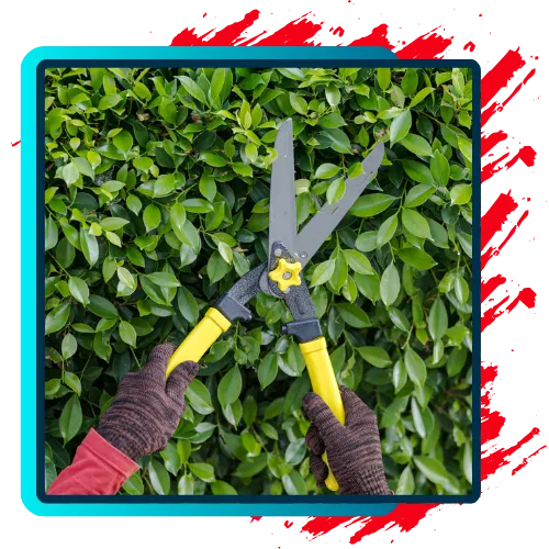 Tree Trimming Services