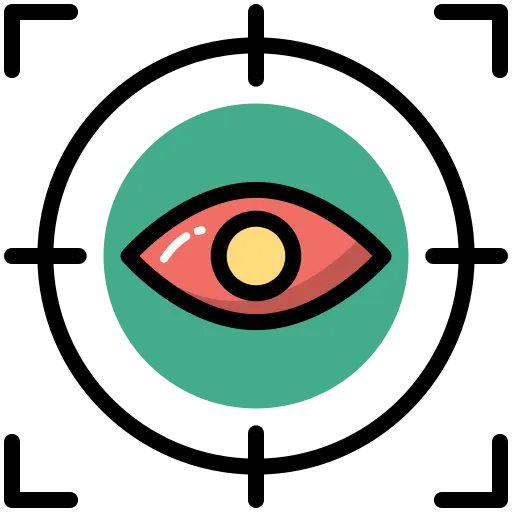 Vision