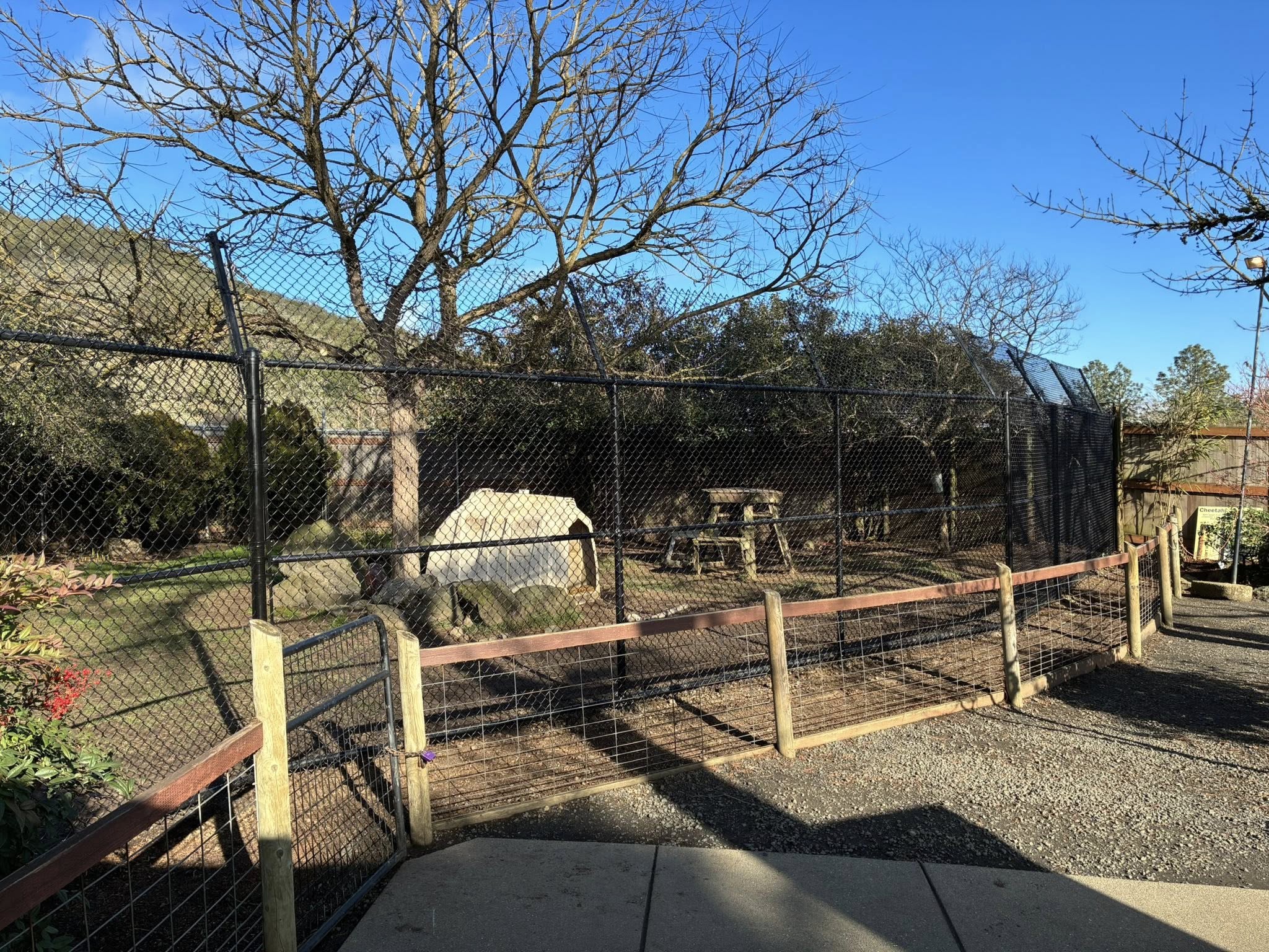 Black Chain Link Fencing at Wildlife Safari in Roseburg, Oregon