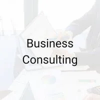Business Consulting