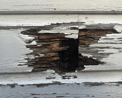 Rotten Wood Repairs in New Bern, NC