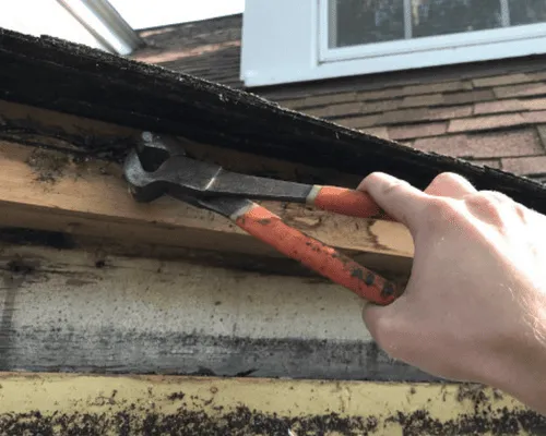 Cabinet Painting New Bern, NC