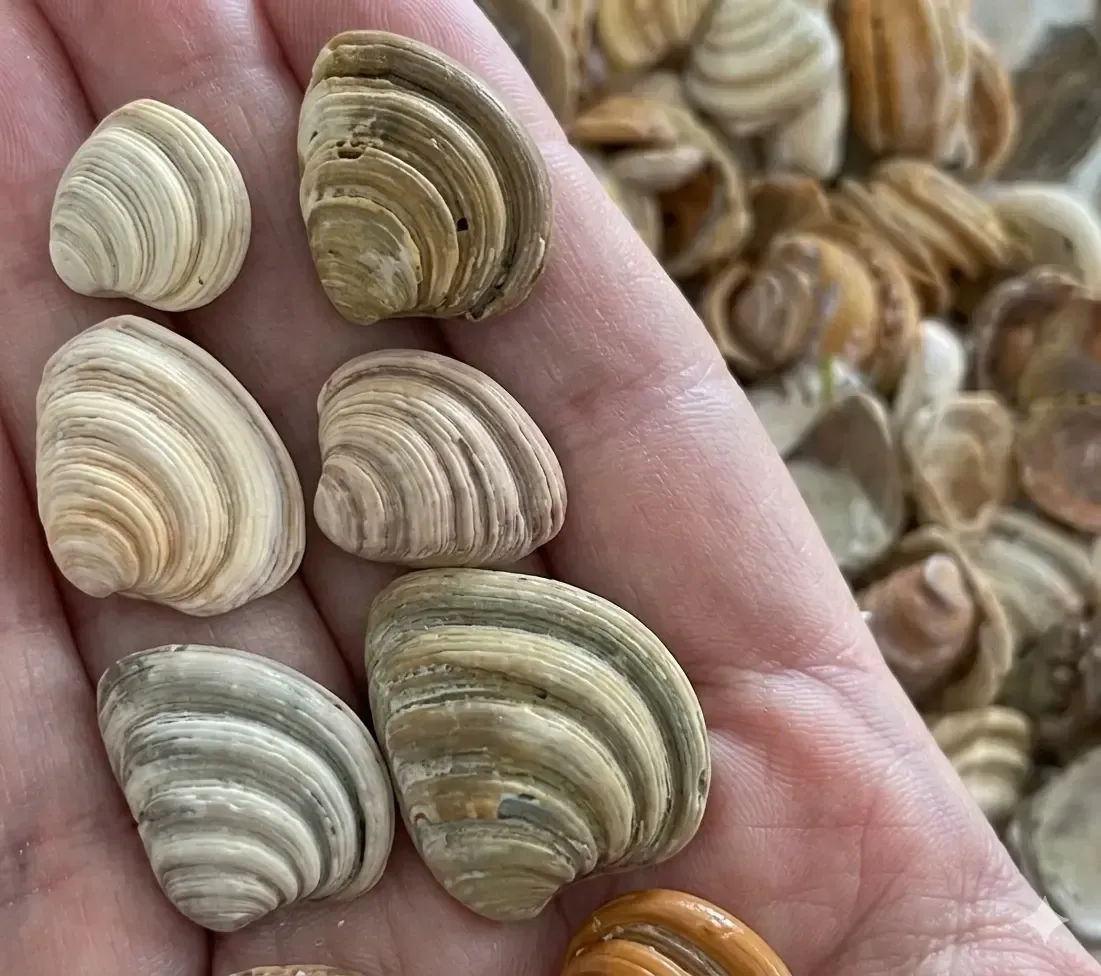 Southern Malibu coastal scenery
