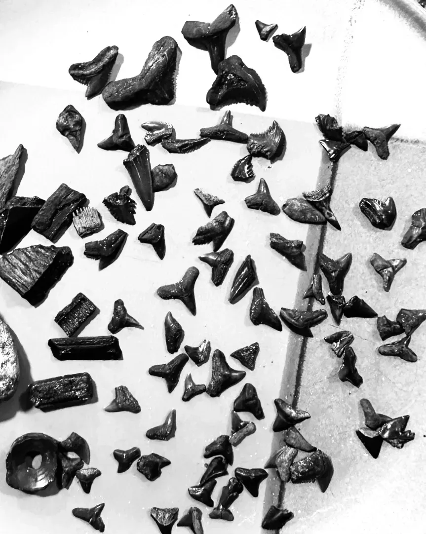 Southern Malibu beach horizon view