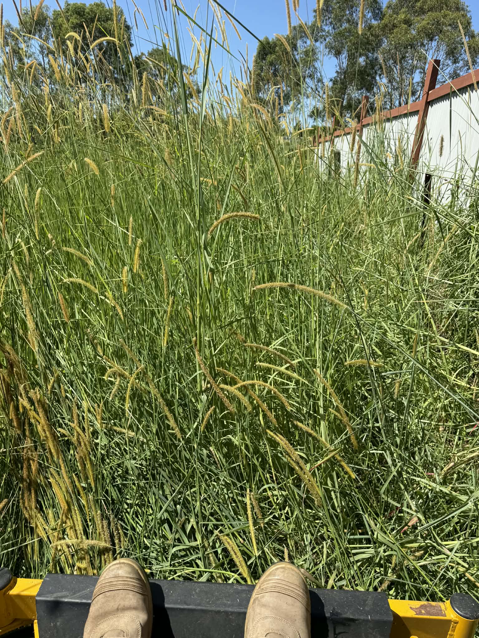 Property Maintenance Ellenbrook