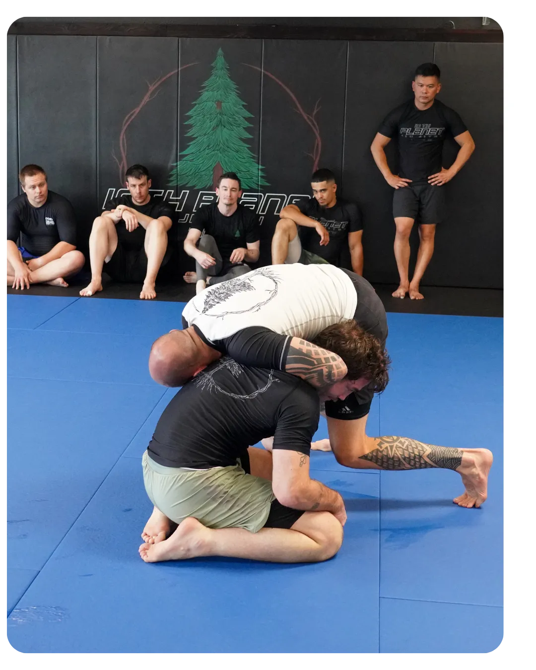 The best adult Jiu Jitsu classes in Mesa, AZ