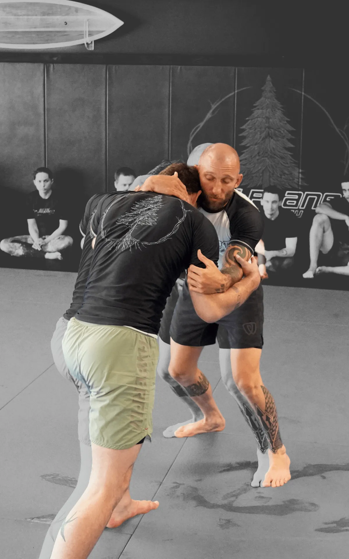 The best adult Jiu Jitsu classes in Mesa, AZ