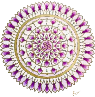 Shakti Fire Coaching