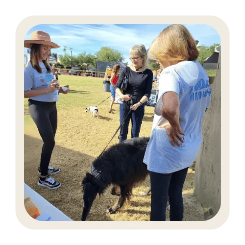 Local Ahwatukee pet sitting services for busy pet owners