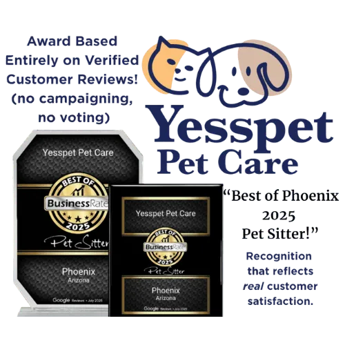 Licensed and insured pet sitting services in Ahwatukee AZ