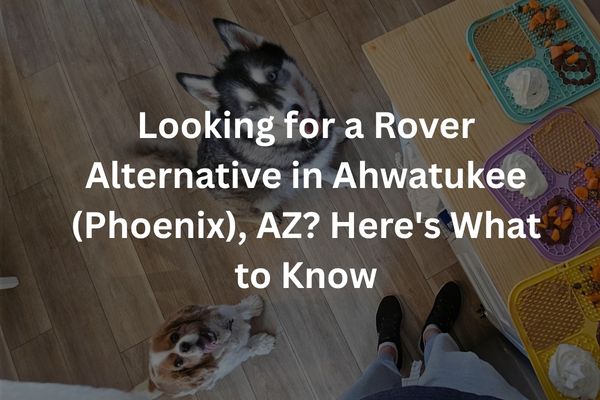Looking for a Rover Alternative in Ahwatukee (Phoenix), AZ? Here's What to Know