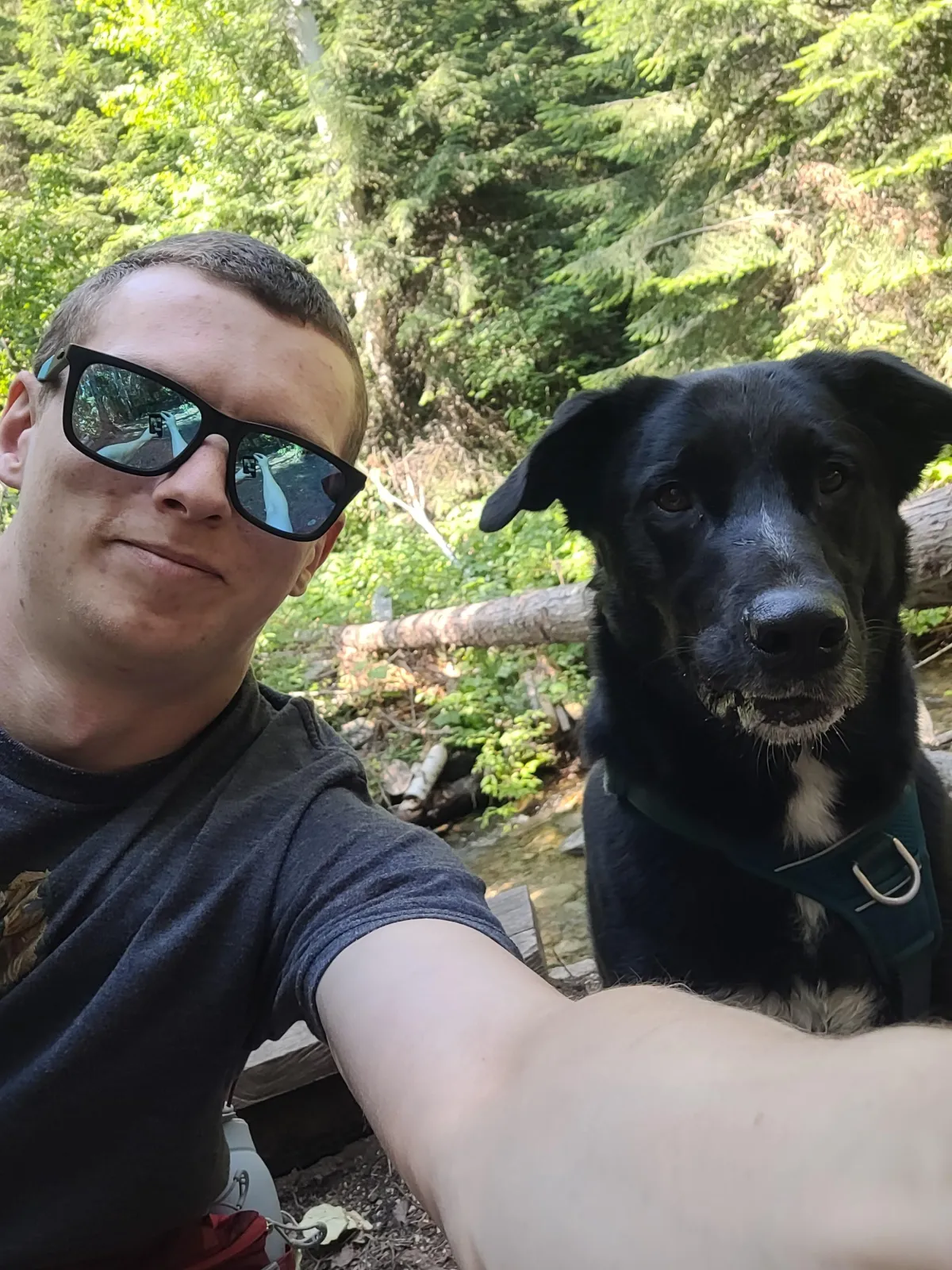 The trainer and his dog